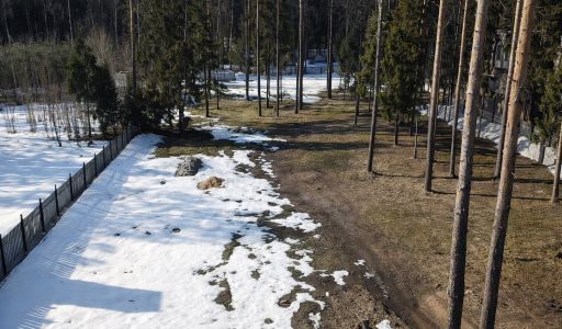 Участок в КП Лесные зори