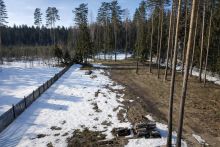 Участок в КП Лесные зори