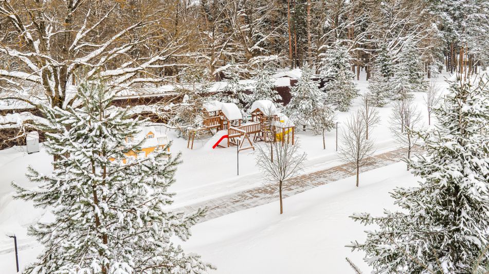 Резиденция в Дарьино