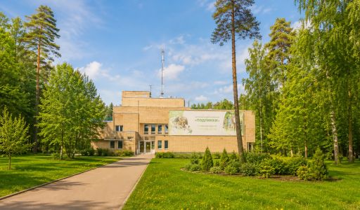 Участок в Королеве ДНП Мечта