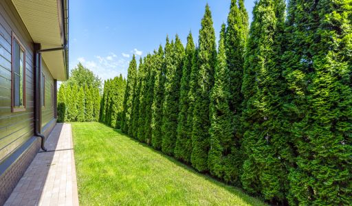 Одноэтажный дом в КП Новорижский