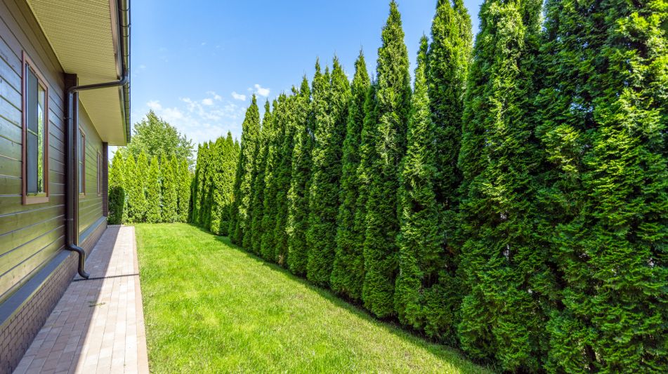 Одноэтажный дом в КП Новорижский