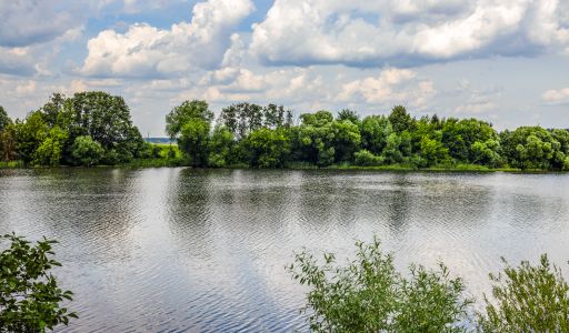 Резиденция в НПИЗ Речное