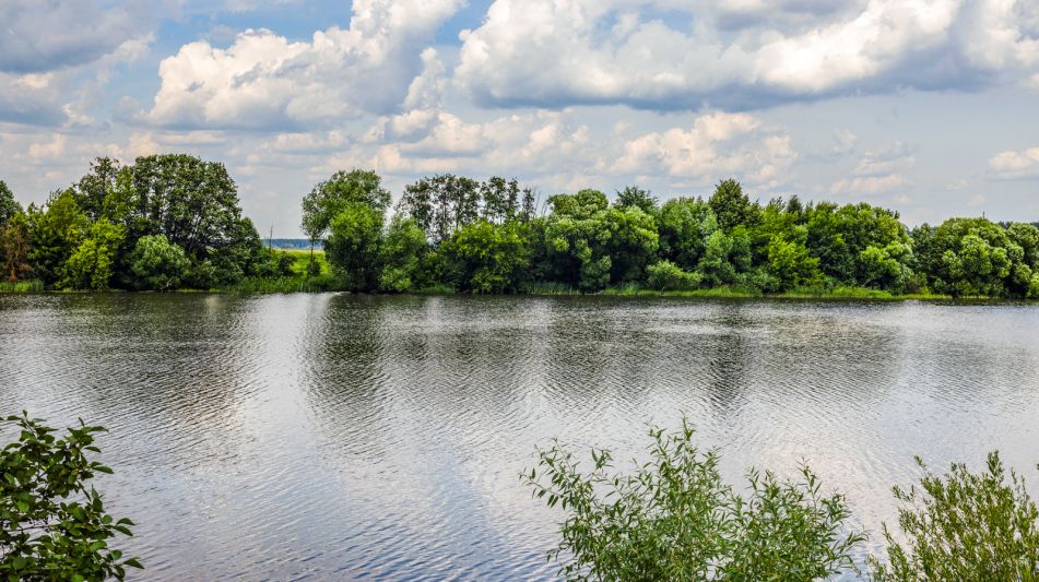 Резиденция в НПИЗ Речное