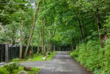 Дом с бассейном в Новогорске