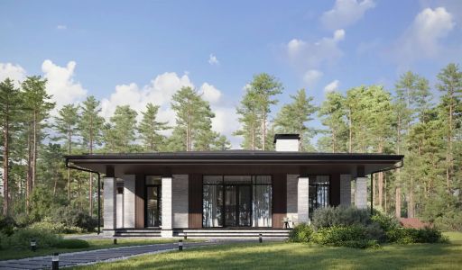 Дом райт в КП Зиккурат