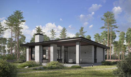 Дом райт в КП Зиккурат