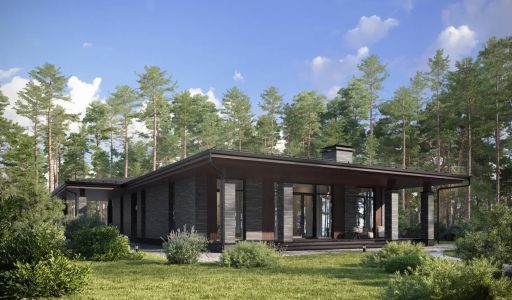 Дом райт в КП Зиккурат