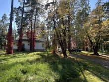 Лесной участок в Новогорске