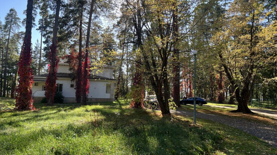 Лесной участок в Новогорске