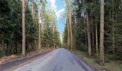 Лесной участок в КП Грибово