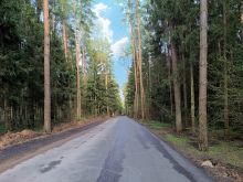 Лесной участок в КП Грибово