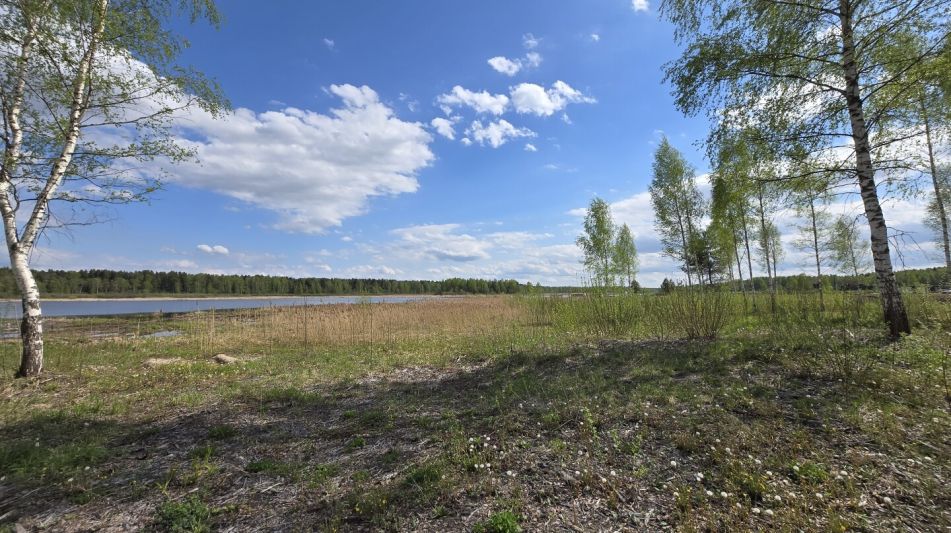 Первая линия в КП Волжский берег