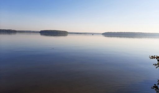 Дом у леса в п. Пестово