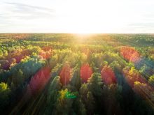 Дом в поселке Марьина Гора