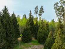 Участок в КП Лес Иславское
