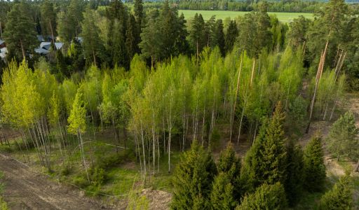 Участок в КП Лес Иславское
