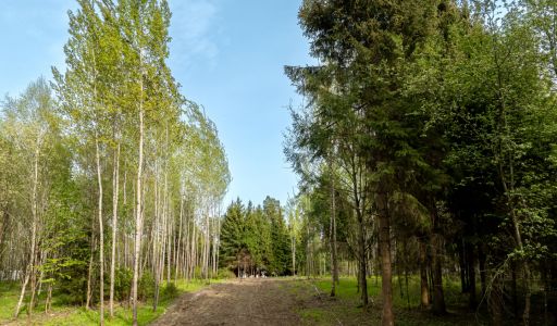 Участок в КП Лес Иславское