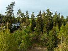 Участок в КП Лес Иславское