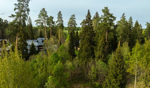 Участок в КП Лес Иславское