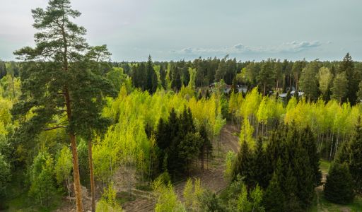 Участок в КП Лес Иславское