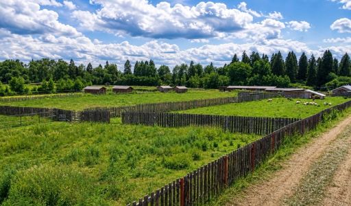 Готовая ферма в Хмолино