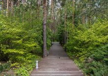 Современный дом в КП Павлово-2