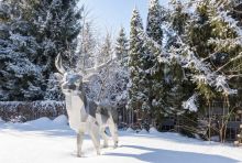 Готовый дом в КП Тайм-1