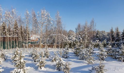 Резидения в КП Успенские Усадьбы