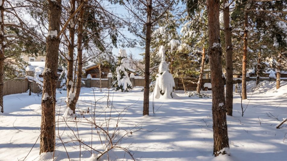 Дом под отделку в Подушкино