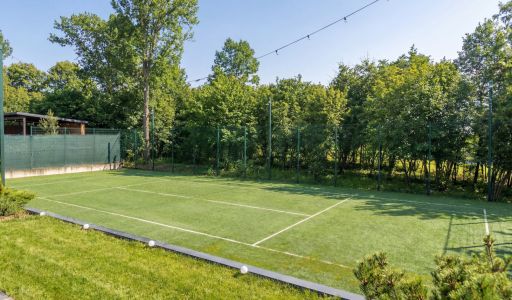 Дом с теннисным котом в СНТ Пламя