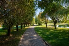 Участок в КП Миллениум Парк