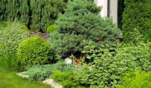 Стильный дом в КП Миллениум парк