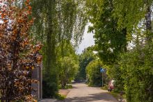 Готовый дом в Ильинское