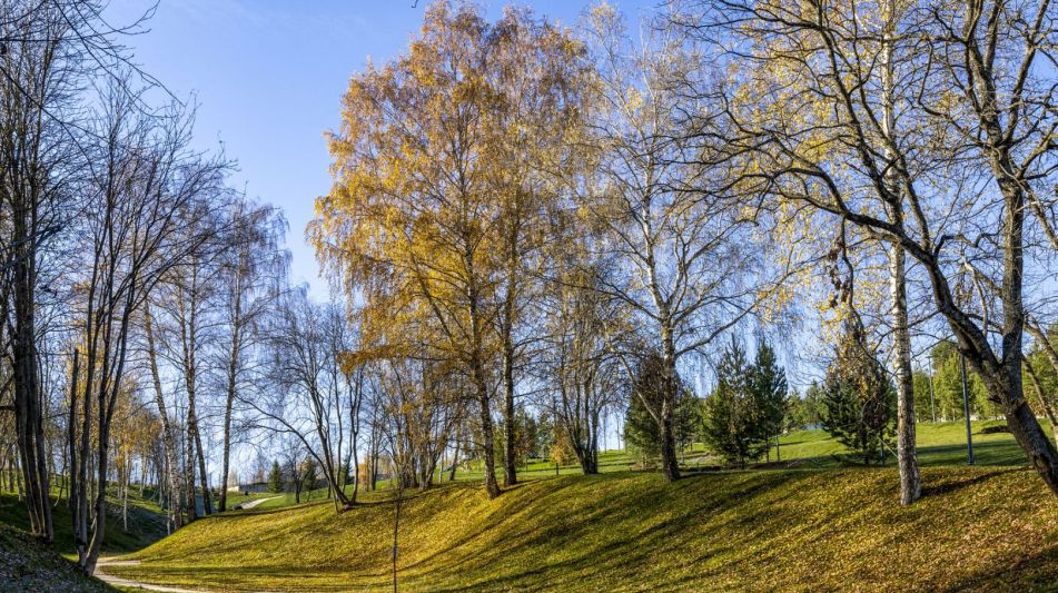 Участок в КП Кристалл Истра