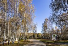 Участок в КП Кристалл Истра