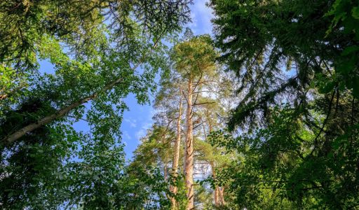 Дом в КП Покровское-Рубцово