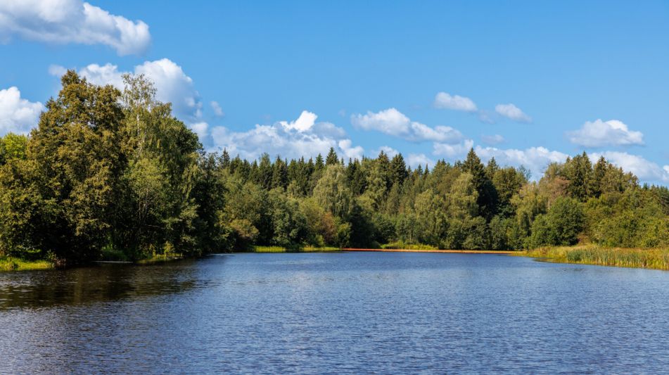 Классический дом в Славково
