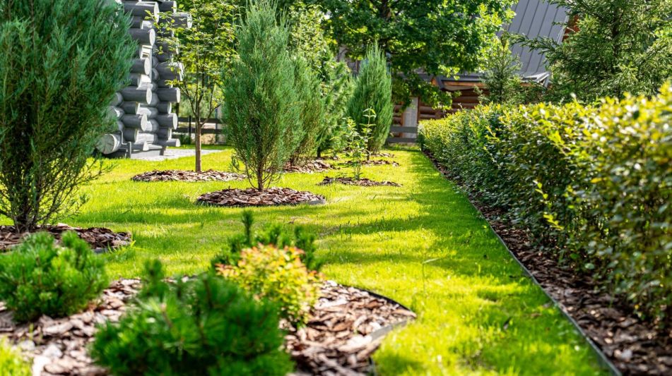 Деревянный дом в КП Геодар