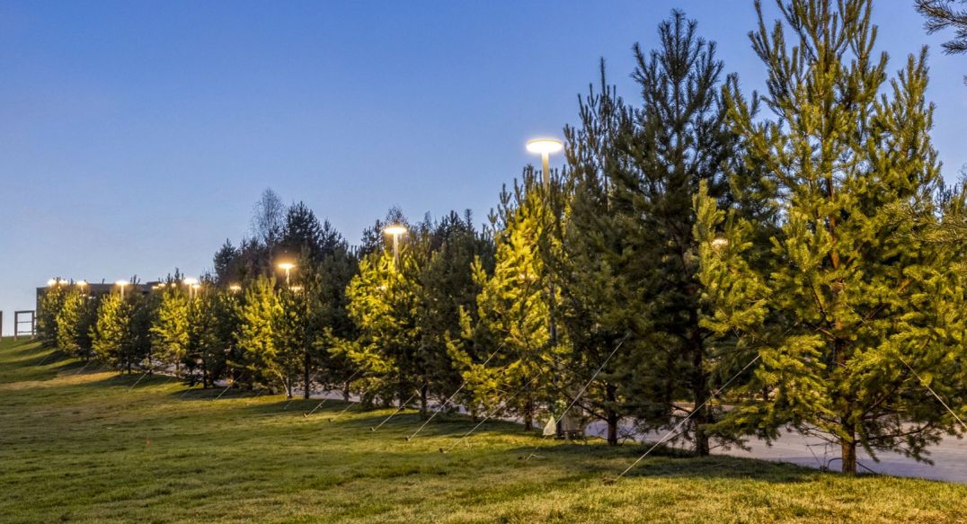 Кристал Истра