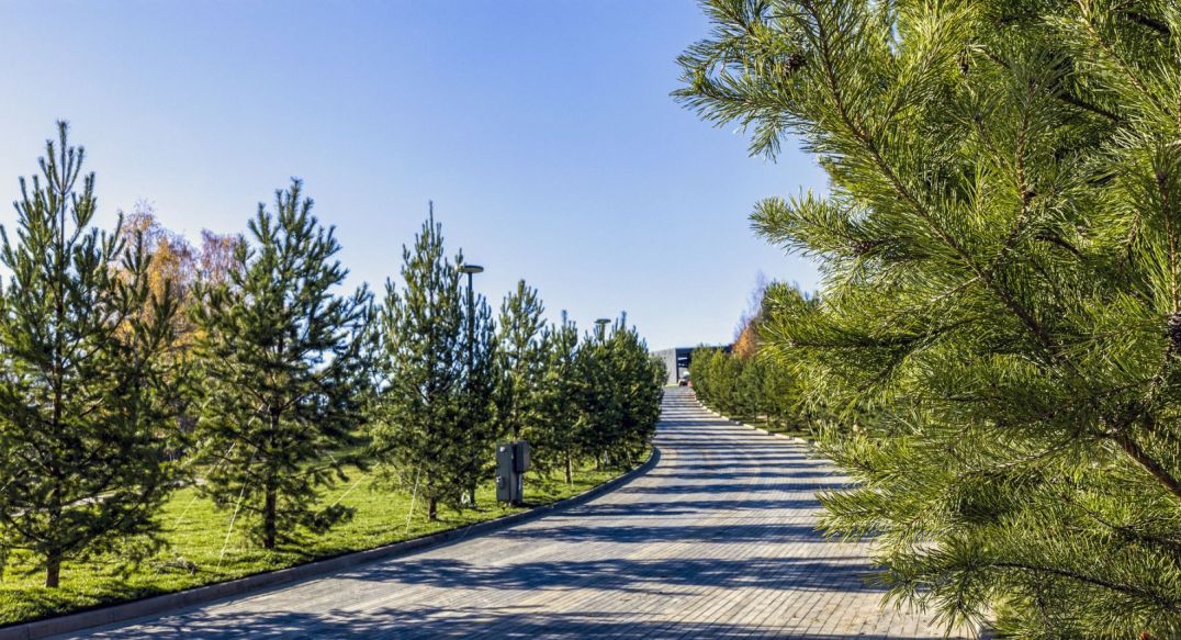 Кристал Истра