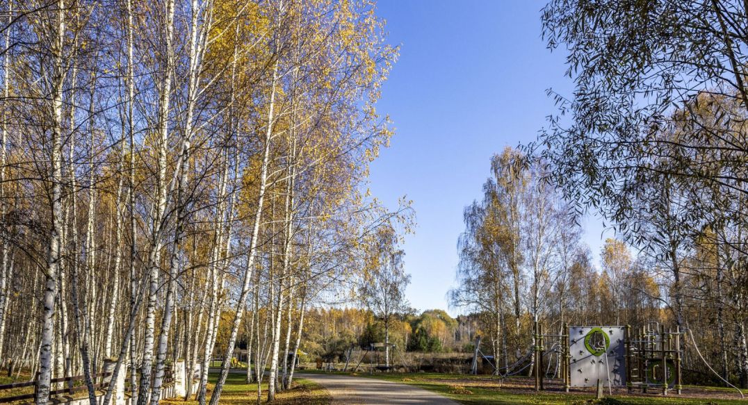 Кристал Истра