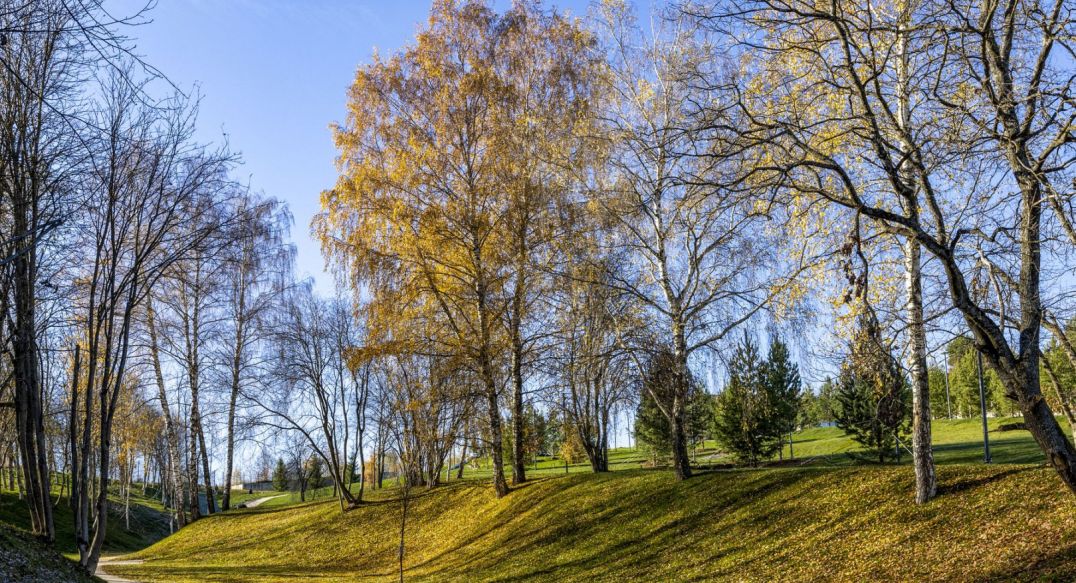 Кристал Истра