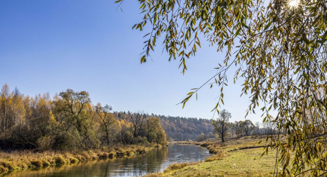 Кристал Истра