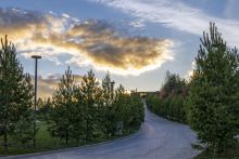 Кристал Истра