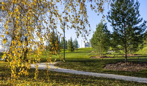 Участок в КП Кристалл Истра