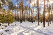 Дом в Кп Николина Слобода