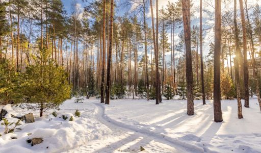 Дом в Кп Николина Слобода