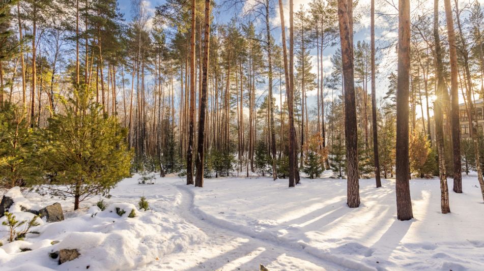 Дом в Кп Николина Слобода