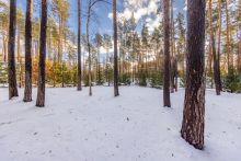 Дом в Кп Николина Слобода